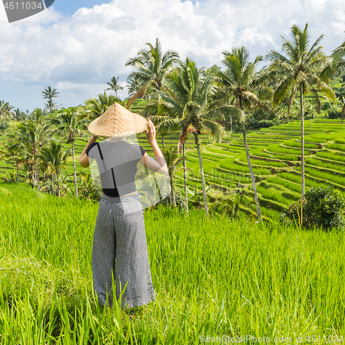 Image of Relaxed fashionable caucasian female tourist wearing small backpack and traditional asian paddy hat looking at beautiful green rice fields and terraces on Bali island