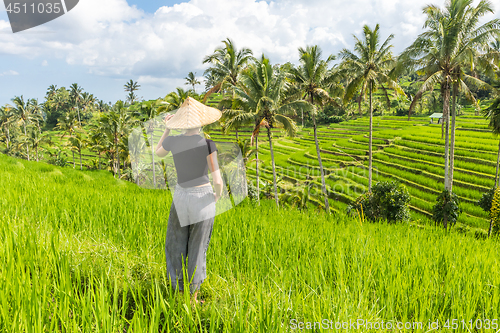 Image of Relaxed fashionable caucasian female tourist wearing small backpack and traditional asian paddy hat looking at beautiful green rice fields and terraces on Bali island