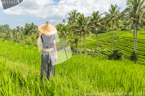 Image of Relaxed fashionable caucasian female tourist wearing small backpack and traditional asian paddy hat looking at beautiful green rice fields and terraces on Bali island