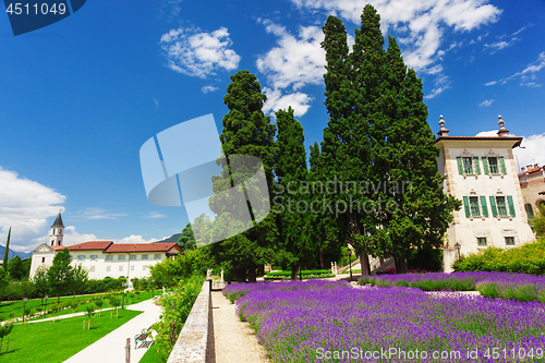 Image of Alpine village with lavender field 