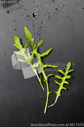 Image of Three green fresh rucola or arugula leaves.