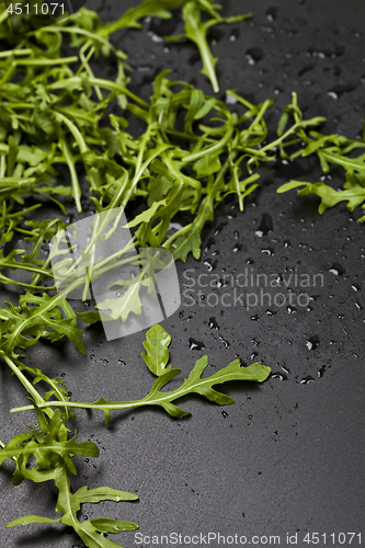 Image of Green fresh rucola or arugula leaves closeup on black wet backgr