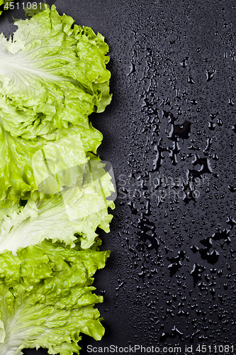 Image of Green organic lettuce salad leaves frame on wet black background