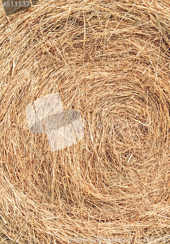 Image of Hay background