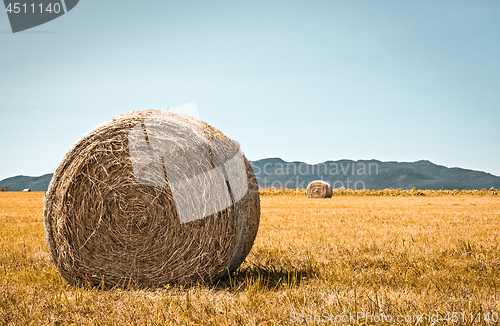 Image of Rural landscape with bales of hay