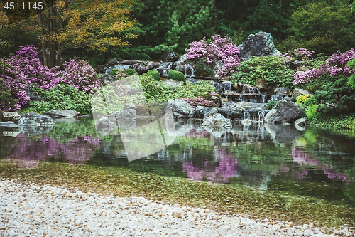 Image of Pond in a blooming Japanese garden