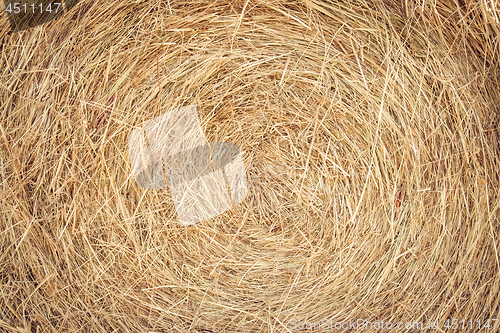 Image of Hay texture