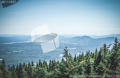 Image of Boreal forest and misty mountains