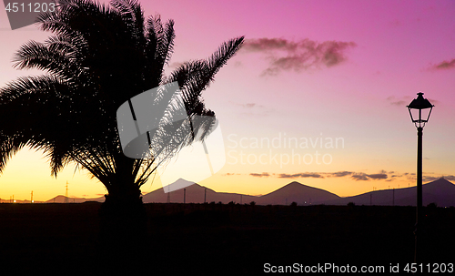 Image of Silhouettes of Lanzarote