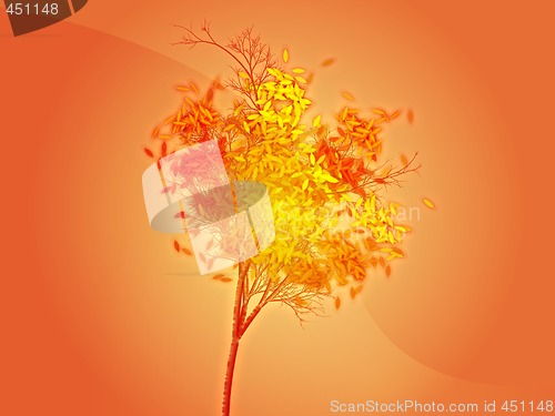 Image of Autumn tree