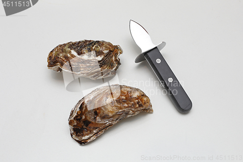 Image of Oysters and Shucker