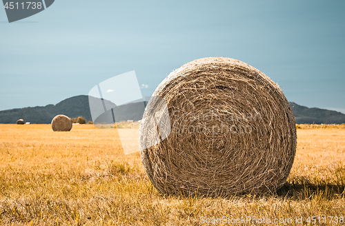 Image of Country field with bales of hay