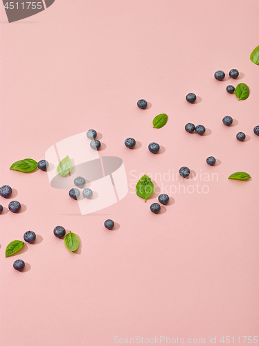 Image of blueberries and green basil leaves