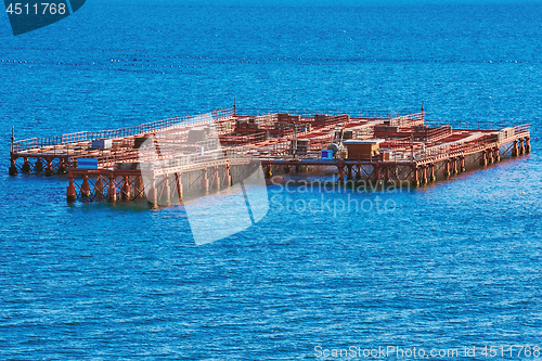 Image of Mussel Farm in the Sea