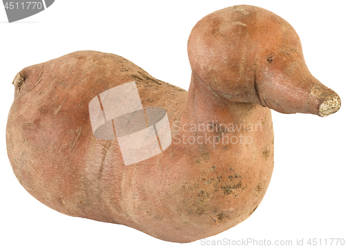 Image of Ipomoea Batatas Cutout