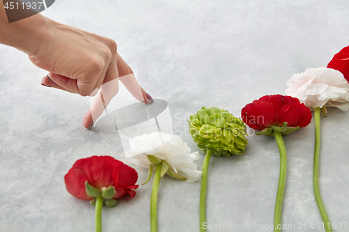 Image of beautiful different flowers on a gray background