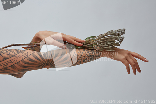 Image of Female hand with a tattoo decorated with a flower around a gray background with space for text. Layout for your ideas