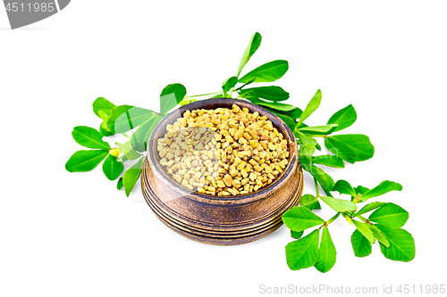 Image of Fenugreek with green leaves in bowl
