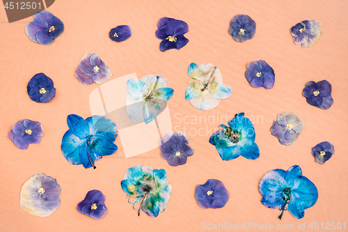 Image of Dried pansies on peach canvas background