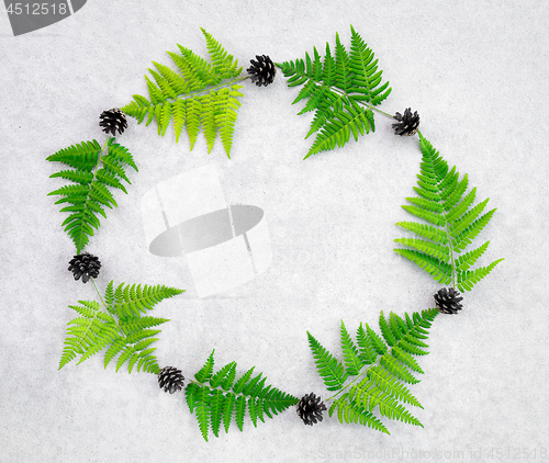 Image of Frame made of wild forest fern and conifer cones