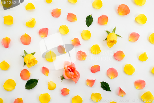 Image of Beautiful rose petals background