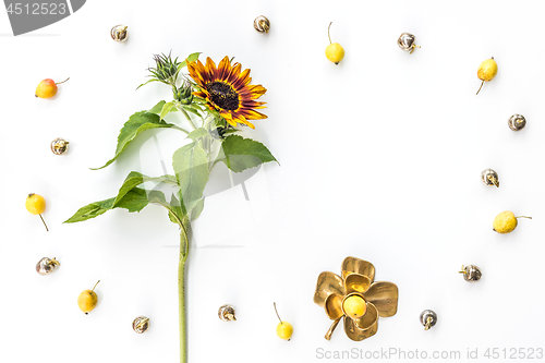 Image of Sunflower and apples frame on white background