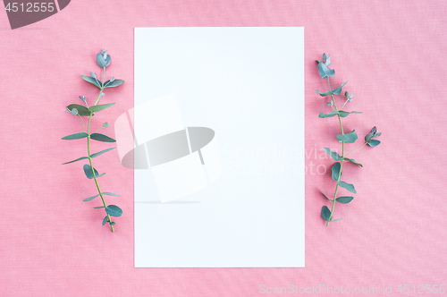 Image of Blank paper and eucalyptus on pink canvas