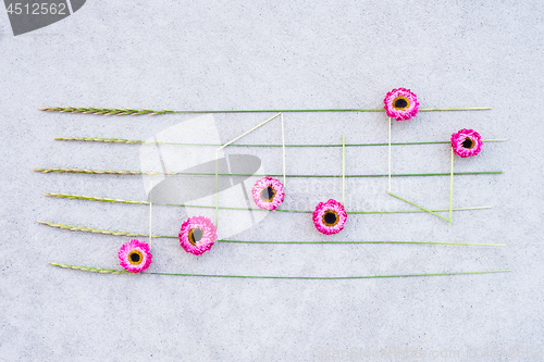 Image of Music notes made of pink strawflowers and wild grass