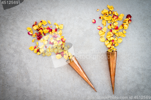 Image of Two vintage copper cones with rose petals