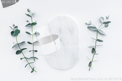 Image of Marble plate and fresh eucalyptus branches