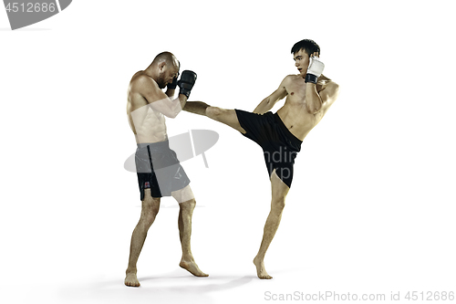 Image of Two professional boxer boxing isolated on white studio background