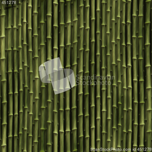 Image of Bamboo plants