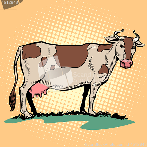 Image of dairy milk cow with udder. Farm animal