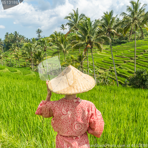 Image of Relaxed fashionable caucasian woman wearing red asian style kimono and traditional asian paddy hat walking amoung beautiful green rice fields and terraces on Bali island