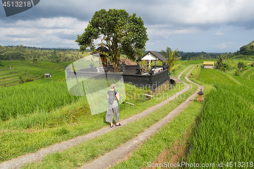 Image of Female tourist walking a path among Jatiluwih rice terraces and plantation in Bali, Indonesia.