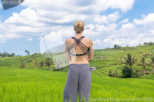 Image of Relaxed casual sporty woman enjoying pure nature at beautiful green rice fields on Bali.