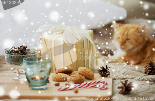 Image of christmas gift, cookies and cat lying in bed