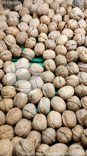 Image of Walnuts close up