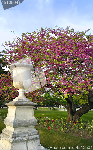 Image of Decoration of Tuileries garden