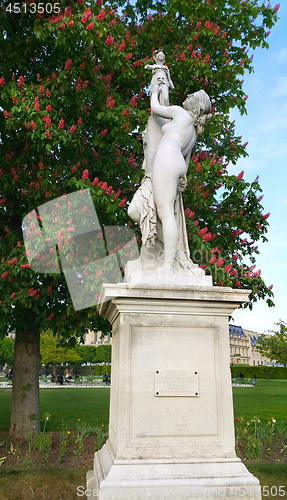 Image of Decoration of Tuileries garden in Paris