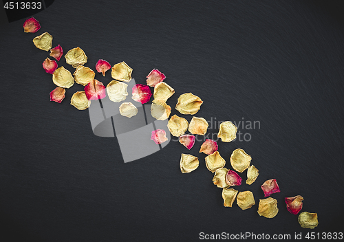 Image of Rose petals on black slate background 