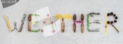 Image of Weather written with leaves and flowers