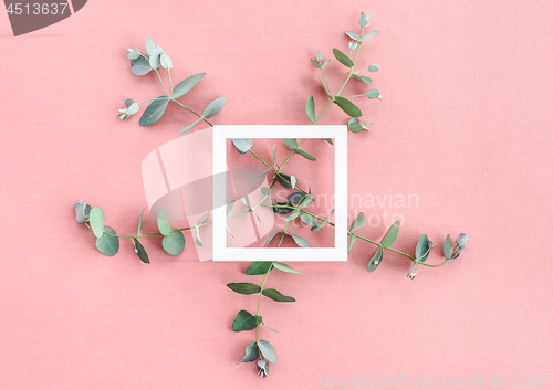 Image of White frame and eucalyptus on rose colored canvas