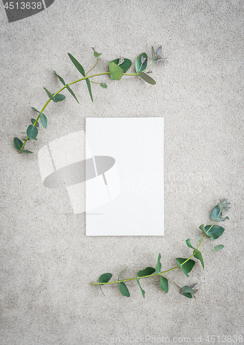 Image of Blank canvas and eucalyptus on concrete background