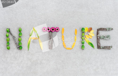 Image of Nature written with leaves and flowers