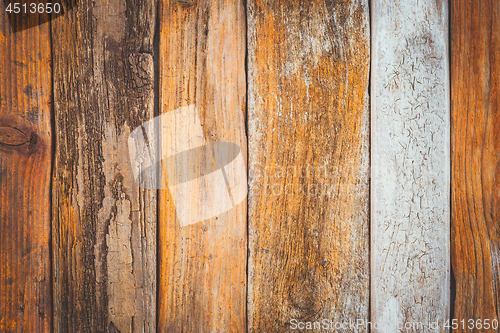 Image of Orange driftwood background