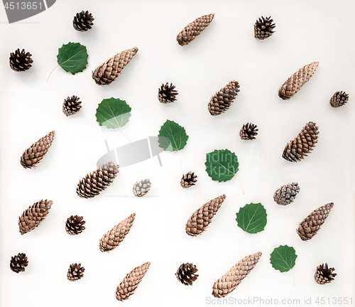 Image of Fir cones and green leaves flat lay