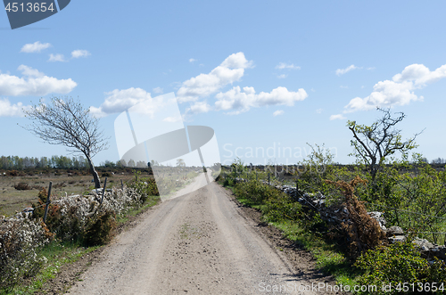 Image of Dirt road into the great plain grassland Alvaret at the swedish 