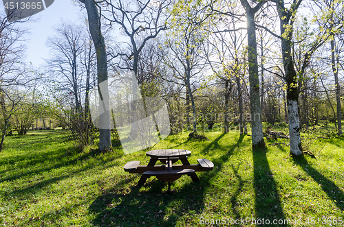 Image of Beautiful resting place with wooden furniture by springtime in a