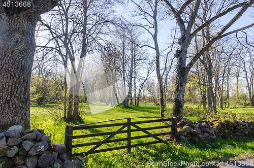 Image of Old wooden gate in a beautiful landscape by spring season